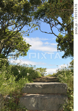 夏の風景 78055476