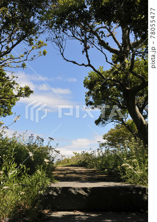 夏の風景 夏の風景 78055477