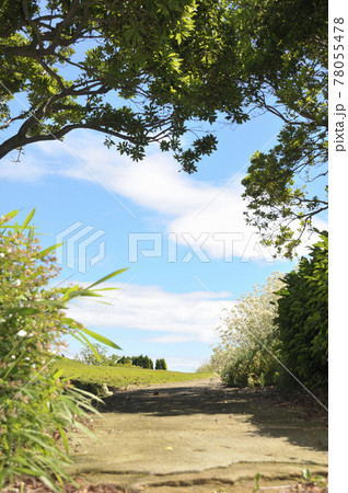 夏の風景 78055478