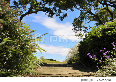 夏の風景 夏の風景 78055481