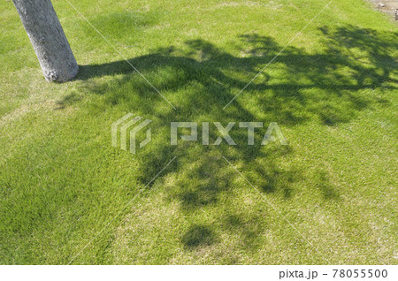 夏の風景 夏の風景 78055500