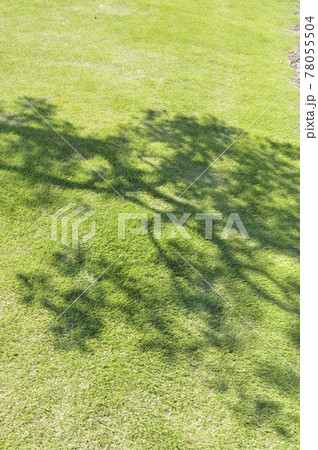 夏の風景 夏の風景 78055504
