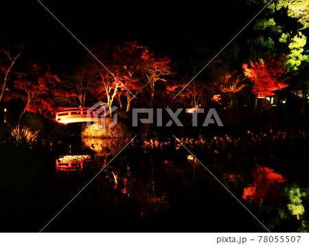 夜の寺の紅葉ライトアップ 夜の寺の紅葉ライトアップ 78055507