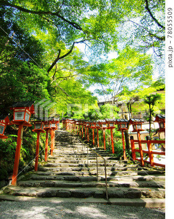 灯篭のある神社の石段 78055509