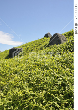 夏の風景 夏の風景 78055510