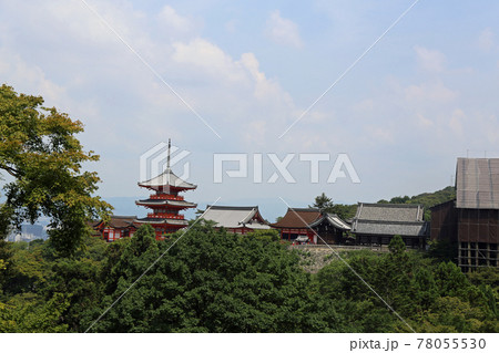 初夏の清水寺 78055530