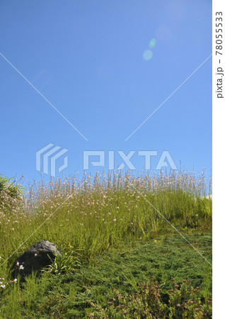 夏の風景 78055533