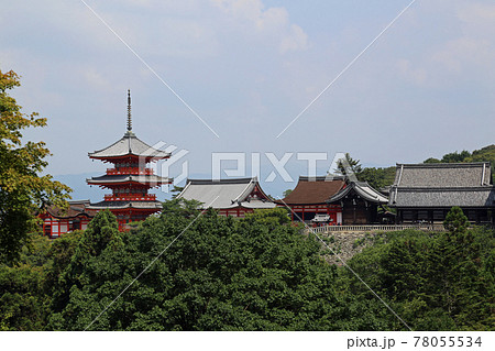 初夏の清水寺 78055534