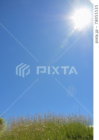 夏の風景 夏の風景 78055535