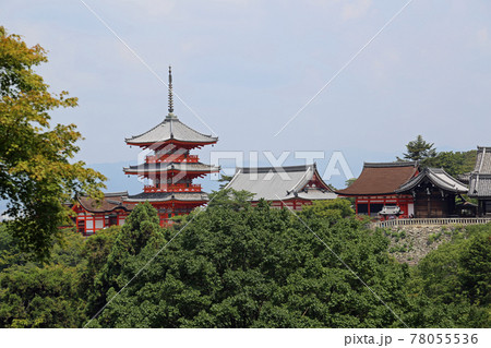 初夏の清水寺 78055536