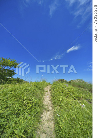 夏の風景 夏の風景 78055558