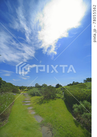 夏の風景 夏の風景 78055562