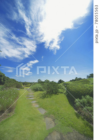 夏の風景 夏の風景 78055563