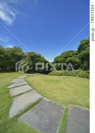 夏の風景 夏の風景 78055564