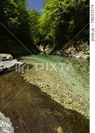 【奈良県下北山村】前鬼川の澄んだ水(前鬼ブルー) 【奈良県下北山村】前鬼川の澄んだ水(前鬼ブルー) 78055574