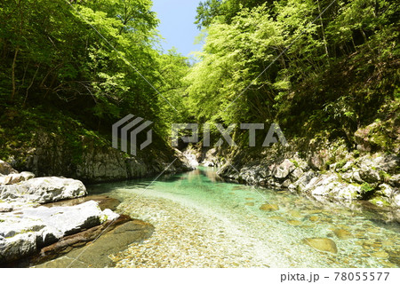【奈良県下北山村】前鬼川の澄んだ水（前鬼ブルー） 78055577