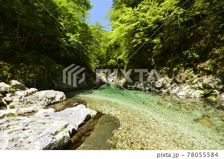 【奈良県下北山村】前鬼川の澄んだ水（前鬼ブルー） 78055584