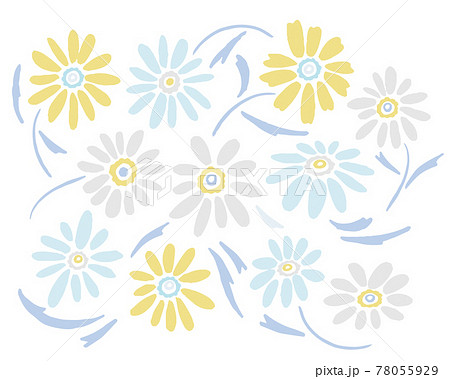 手描きの草木花とコスモスのイラスト 手描きの草木花とコスモスのイラスト 78055929