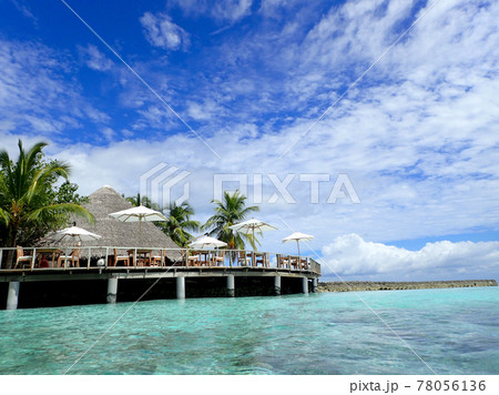 MaldivesMakunuduのコーヒーショップ MaldivesMakunuduのコーヒーショップ 78056136