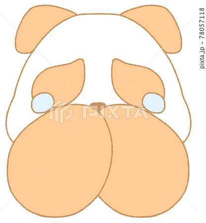 口元に手を当てる涙目のパンダ 橙色 のイラスト素材