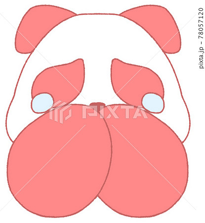 口元に手を当てる涙目のパンダ 赤色 のイラスト素材