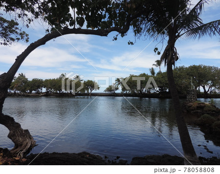 カラフイプアア・フィッシュポンド 78058808