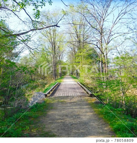 北海道新得町の線路跡 78058809