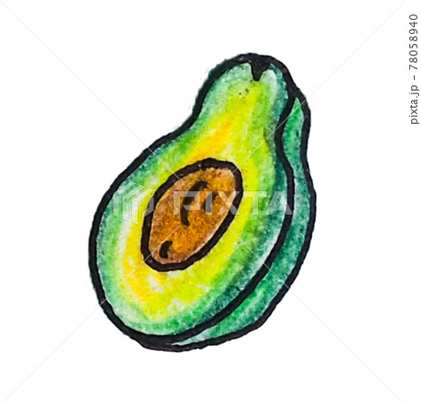 色鉛筆手書きのアボカドのイラスト素材
