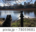 都会の池の前で物思いにふける犬 78059681
