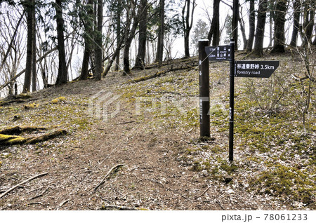 春山の樹走路 丹沢山地の檜岳山頂 春山の樹走路 丹沢山地の檜岳山頂 78061233
