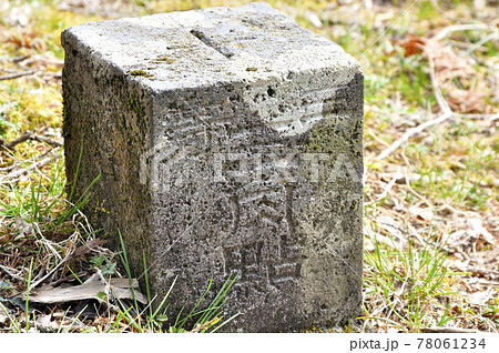 丹沢の三角点 檜岳山頂 丹沢の三角点 檜岳山頂 78061234