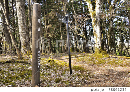 春山の樹走路 丹沢山地の檜岳山頂 春山の樹走路 丹沢山地の檜岳山頂 78061235