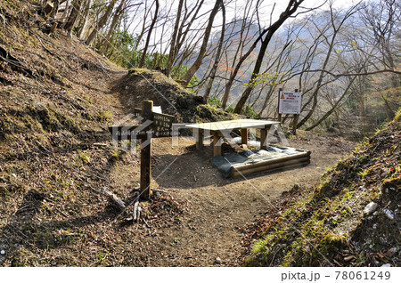 早春の峠道 丹沢山地の雨山峠 早春の峠道 丹沢山地の雨山峠 78061249