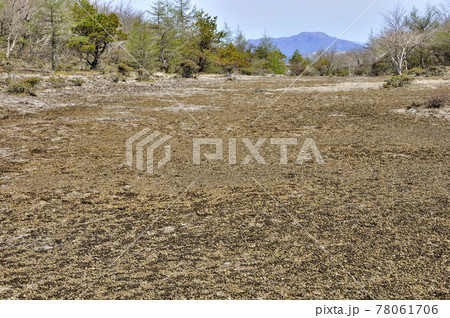 三国山稜 アザミ平より三ツ峠山を遠くに望む 三国山稜 アザミ平より三ツ峠山を遠くに望む 78061706