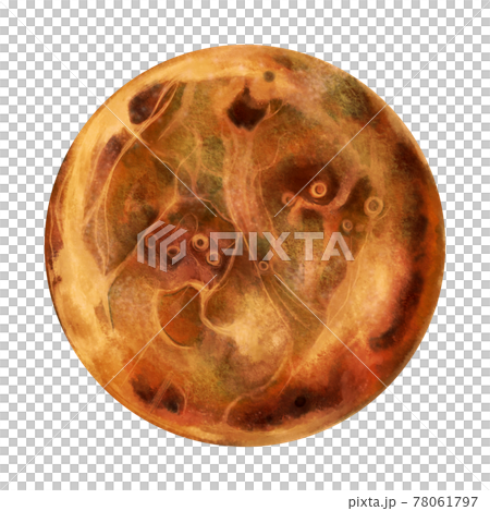 Watercolor-style real Venus without line drawing Watercolor-style real Venus without line drawing 78061797