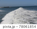 白波 78061854