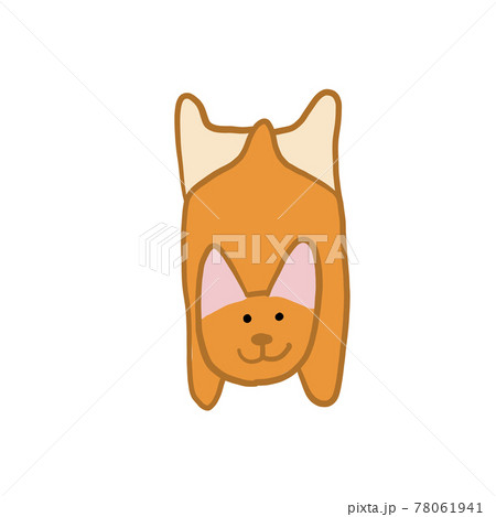 Corgi dog. Funny Puppy. Sketch for your design 78061941