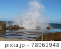 白波 78061948