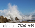 白波 78061949