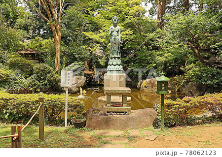 観音寺(世田谷) 観音寺(世田谷) 78062123