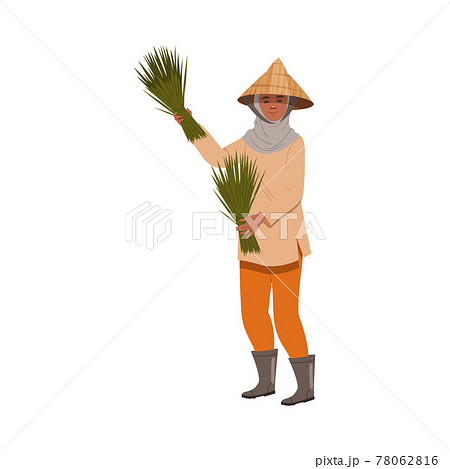 Asian Farmer in Straw Conical Hat Holding Bundle of Rice Grass Vector Illustration 78062816