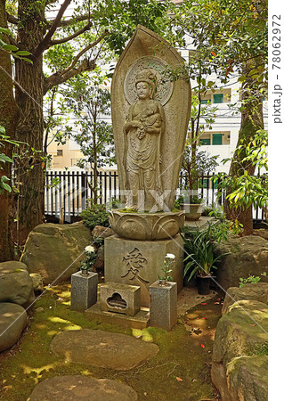 龍雲寺（世田谷） 78062972