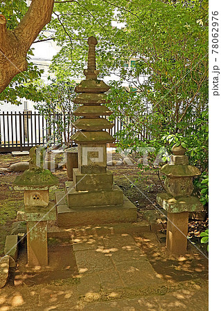 龍雲寺(世田谷) 龍雲寺(世田谷) 78062976