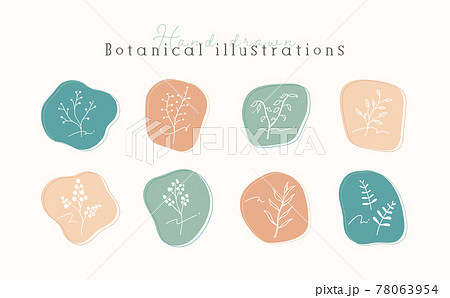 植物のイラストのセット 線 シンプル ボタニカル ナチュラル 葉 自然 おしゃれ ラベルのイラスト素材