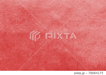 Red velvet background or velour flannel texture made of cotton or wool with soft fluffy velvety satin fabric cloth rose gold metallic color material 78064175