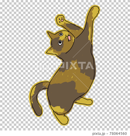 猫の全身イラスト じゃれるサビ猫のイラスト素材