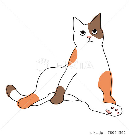 猫の全身イラスト おじさん座りしている可愛い三毛猫のイラスト素材