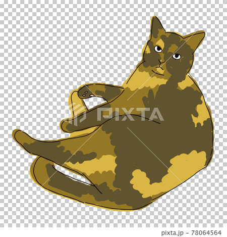 Full-body illustration of a cat, a rusty cat lying down Full-body illustration of a cat, a rusty cat lying down 78064564