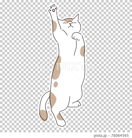Full-body illustration of a cat, a tabby cat playing with a toy Full-body illustration of a cat, a tabby cat playing with a toy 78064565