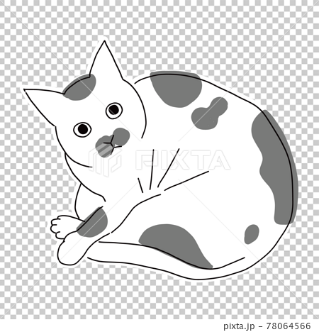 猫の全身イラスト 丸まっている白黒のぶち猫のイラスト素材